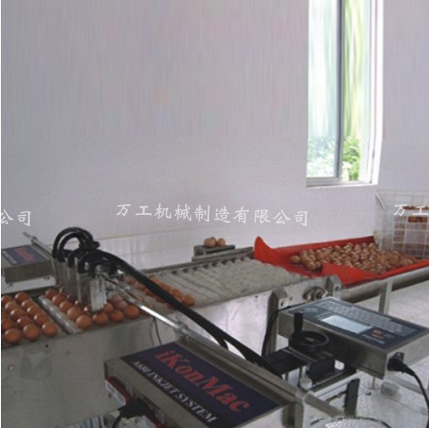 雞鴨蛋蛋類(lèi)清洗生產(chǎn)線